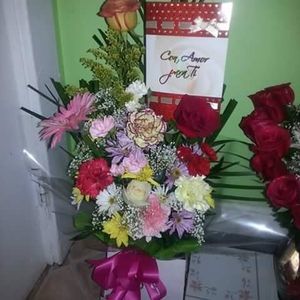 Meet your Posher, Bell